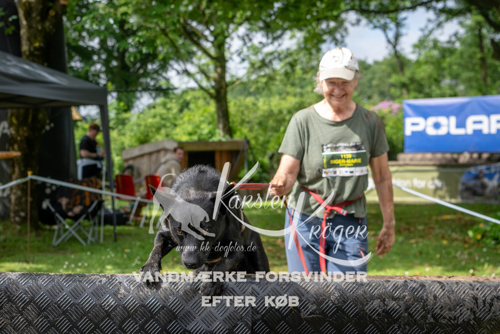 1015_ZZ90376 | kk-dogfotos