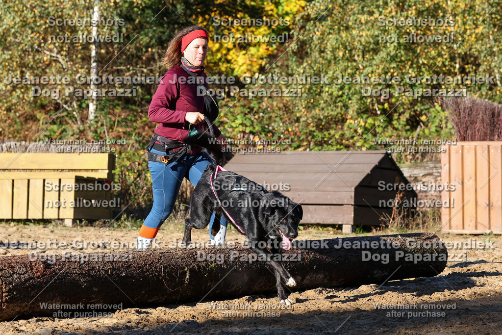 Dog Paparazzi - Strongdog 10-25-1360 | Dog Paparazzi Jeanette Grottendiek Fotografie & Videografie - Realisiert mit Pictrs.com