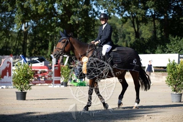 2B4A0705 | pixelfaenger - Realisiert mit Pictrs.com