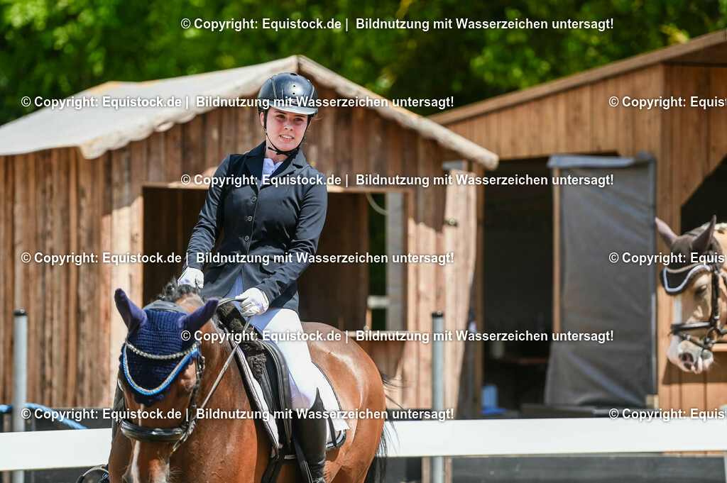 20230715_09_Dressur-WB_0503 | equistock