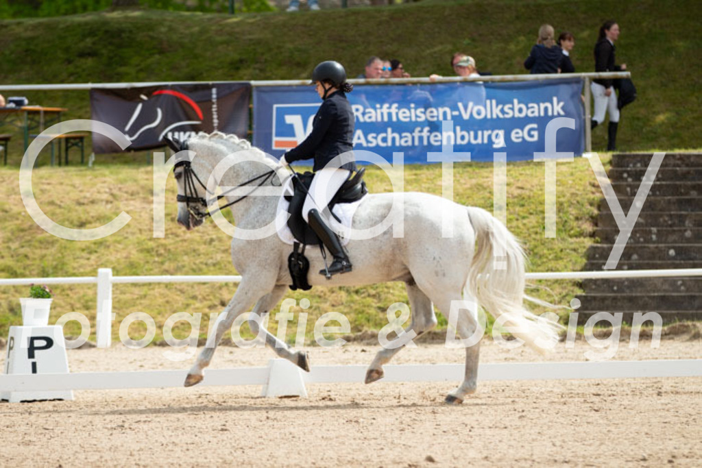 IMG_6728 | Creatify Fotografie