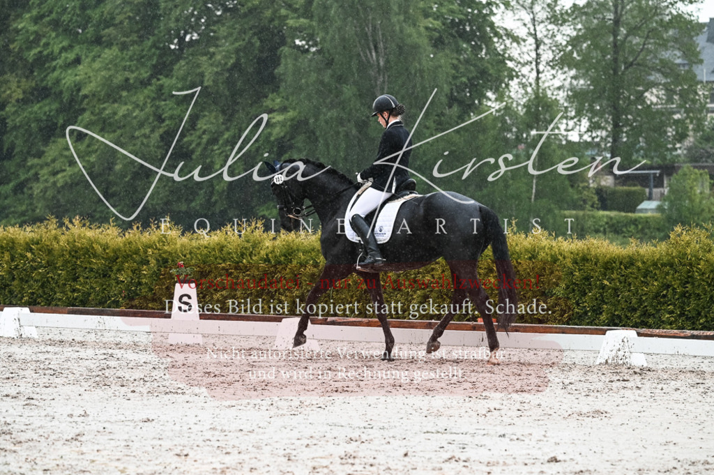 DSC_4721 | Pferde- und Turnierfotografie in Westsachsen. Pferdeportraits, Auftragszeichnungen und intuitive Kunst.
