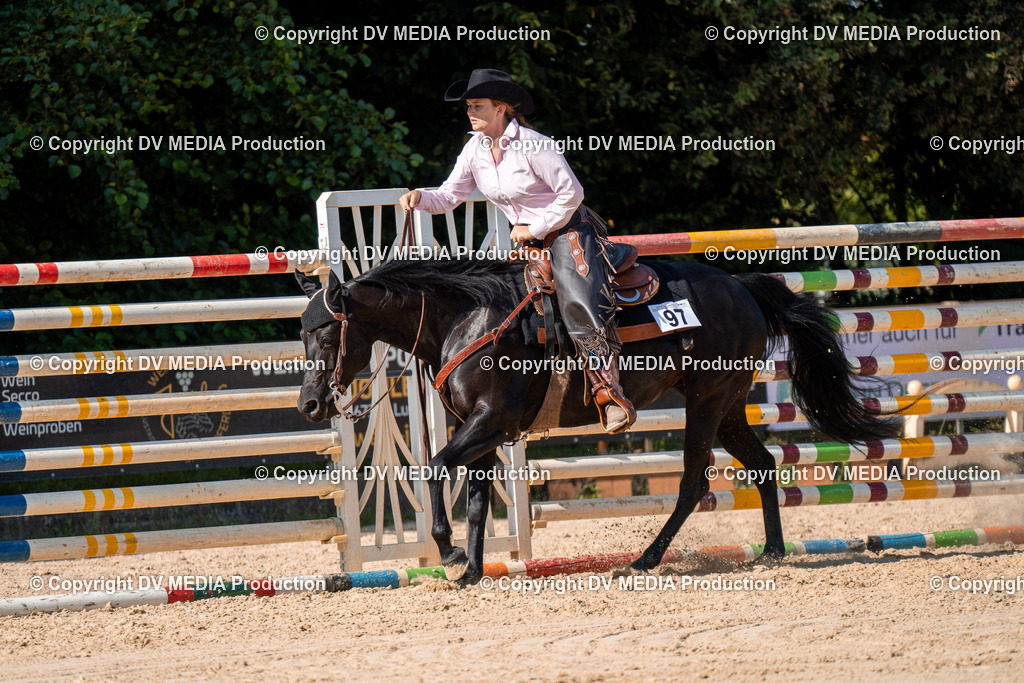 ZH100732 | dv-media-shop - Realisiert mit Pictrs.com