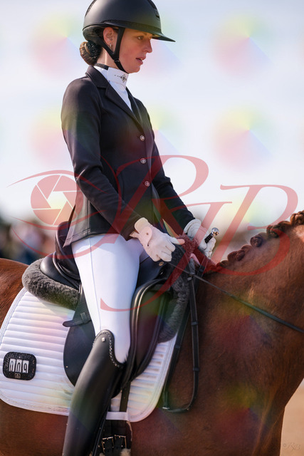 2026_10_03_Siefer-Hof_133129_Z81_85730714 | Professionelle Reitsport-, Turnier- und Eventfotografie von Robert Broda. Galerien mit ausgewählten und bearbeiteten Bildern direkt online ansehen und bestellen.