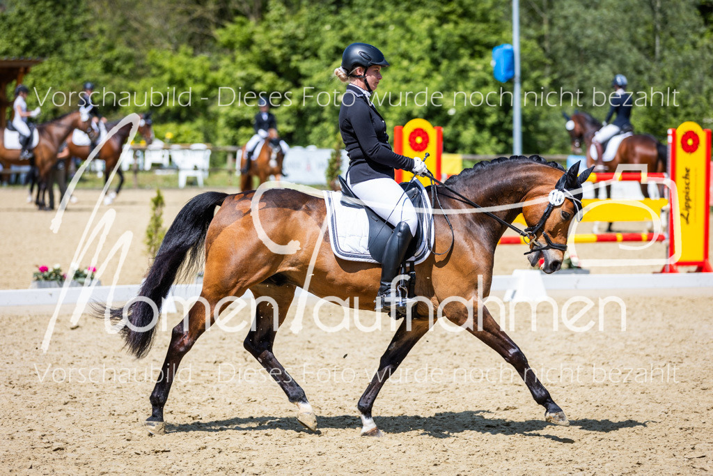 Donop24-L-Dre-103 | MomenTaufnahmen Pferdesportfotos