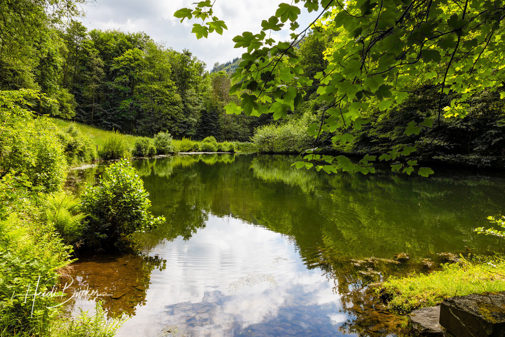 Weiher im Wald | Weiher im Wald bei Jagdhaus im Schmallenberger Sauerland - Realisiert mit Pictrs.com