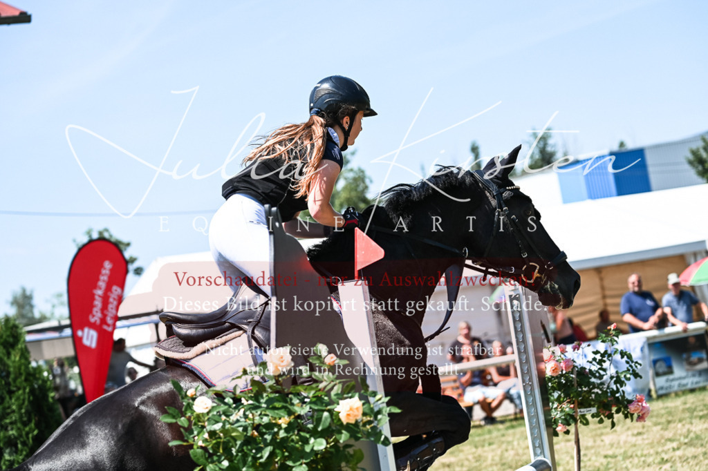 DSC_0505 | Pferde- und Turnierfotografie in Westsachsen. Pferdeportraits, Auftragszeichnungen und intuitive Kunst.