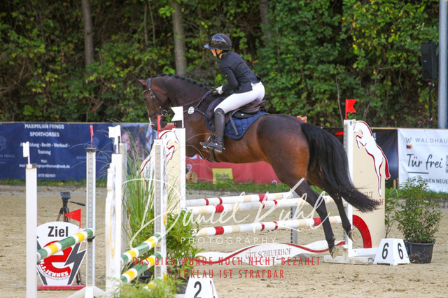 DKP42748 | Turniersportfotografie; Pferdefotografie; Dressurfotografie