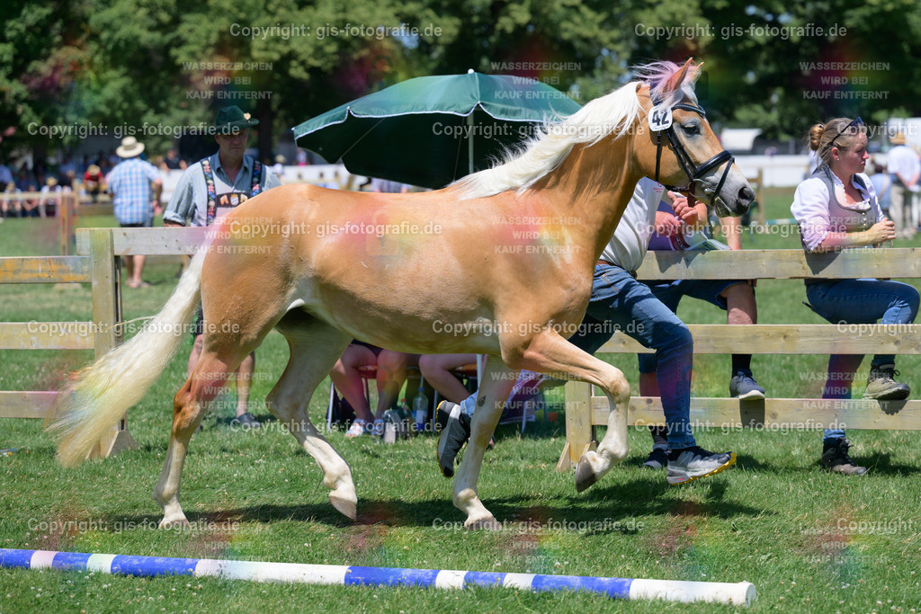 DSC_8737 | gis-fotografie