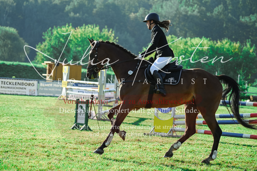 DSC_4525 | Pferde- und Turnierfotografie in Westsachsen. Pferdeportraits, Auftragszeichnungen und intuitive Kunst.