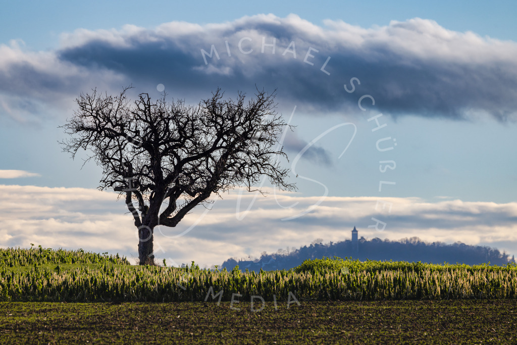 Blick nach Leonberg | Schwotte Media - Realisiert mit Pictrs.com
