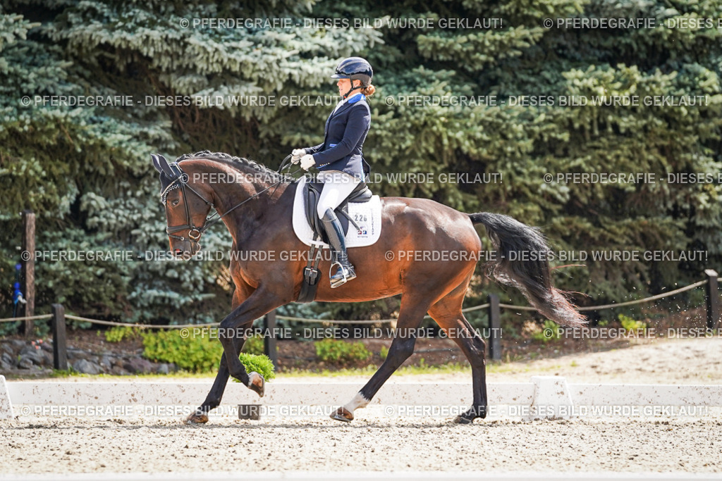 DSC09179 | Pferdegrafie