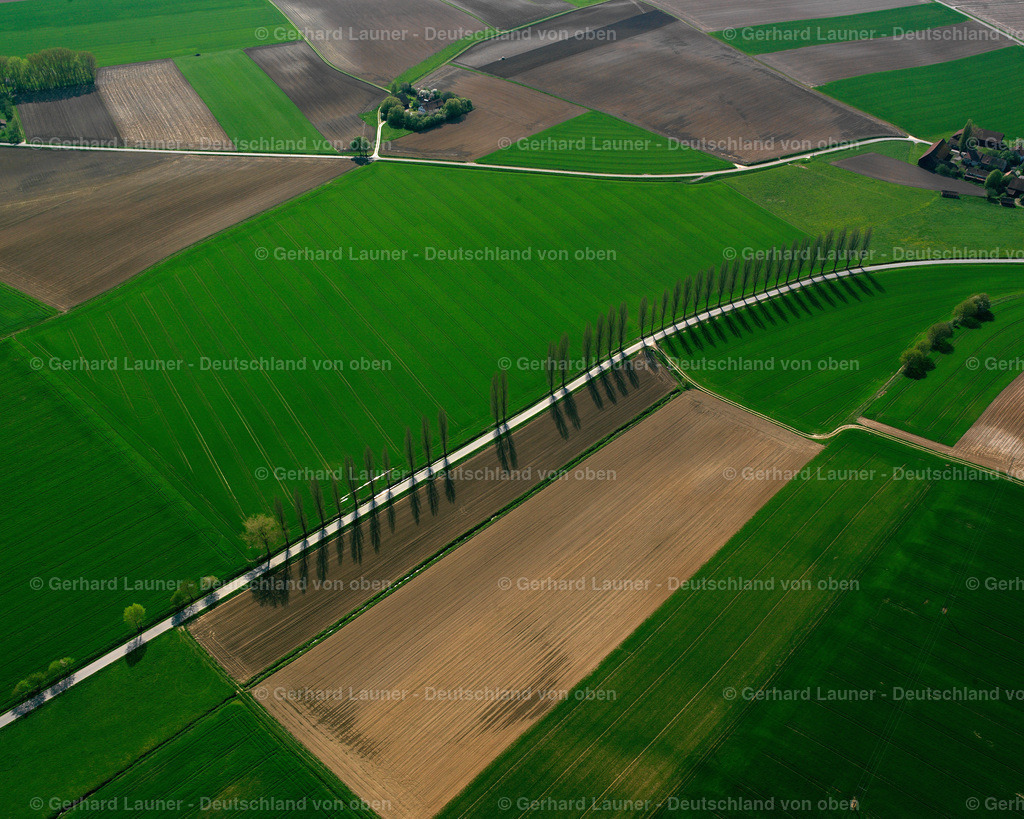 2519102 | Baumreihe bei, Oberwalting, Leiblfing