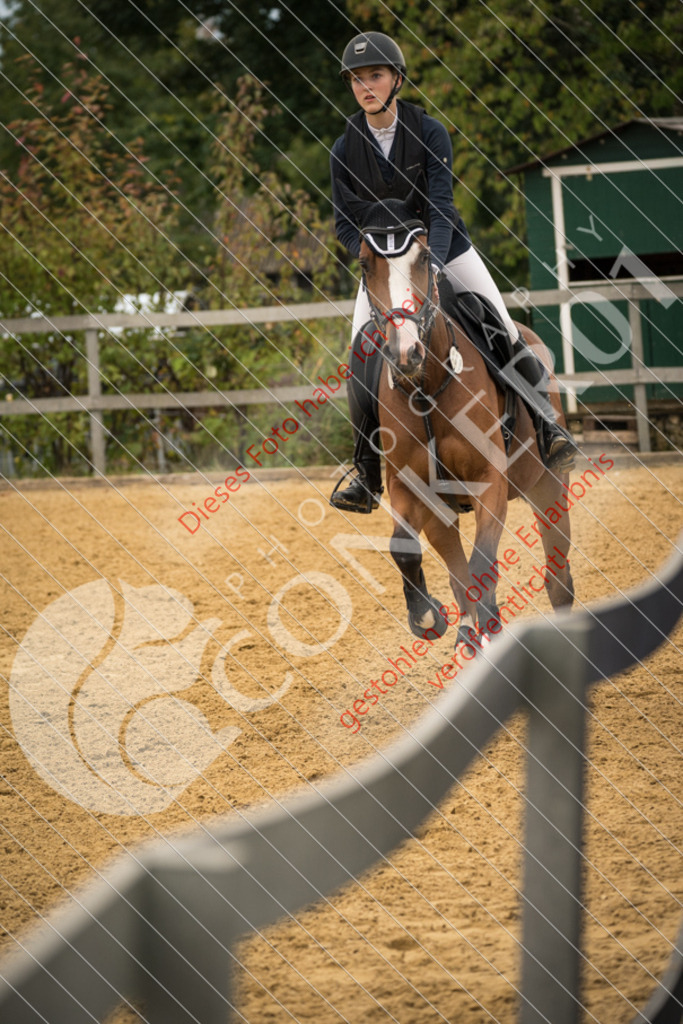DSC_8229 | Sport-, Event- und Tierfotos in Profiqualität. Einfach auswählen, bestellen und herunterladen. Dein Moment – perfekt festgehalten.
