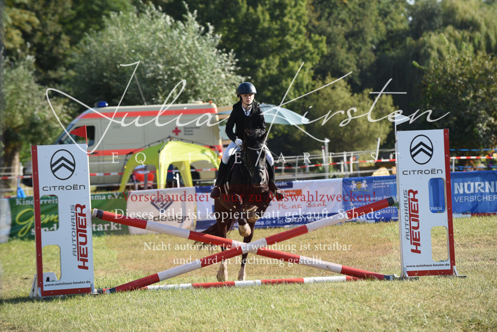 DSC_5528 | Pferde- und Turnierfotografie in Westsachsen. Pferdeportraits, Auftragszeichnungen und intuitive Kunst.