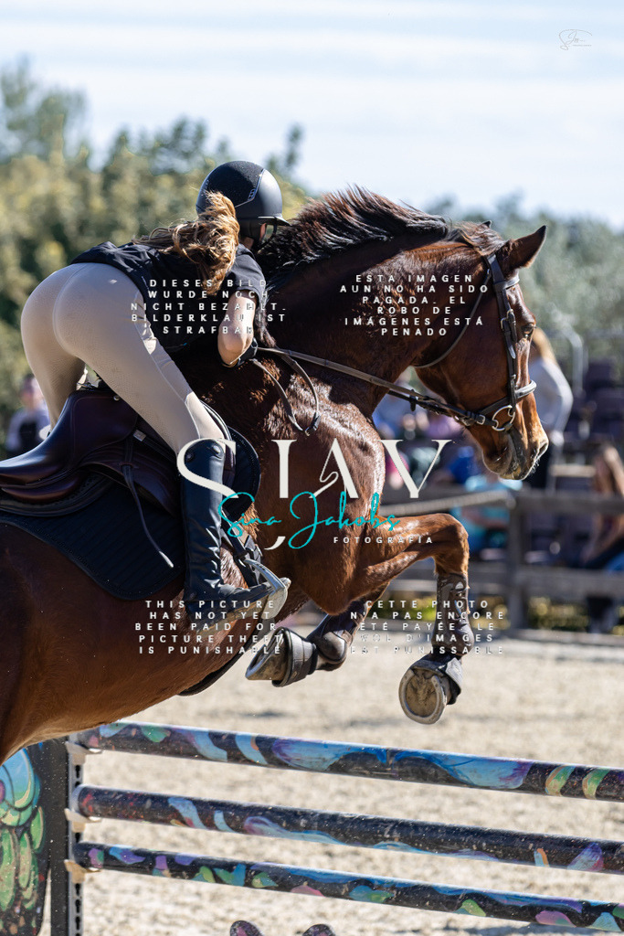 IMG_0761 | s-jay-photography - Realisiert mit Pictrs.com