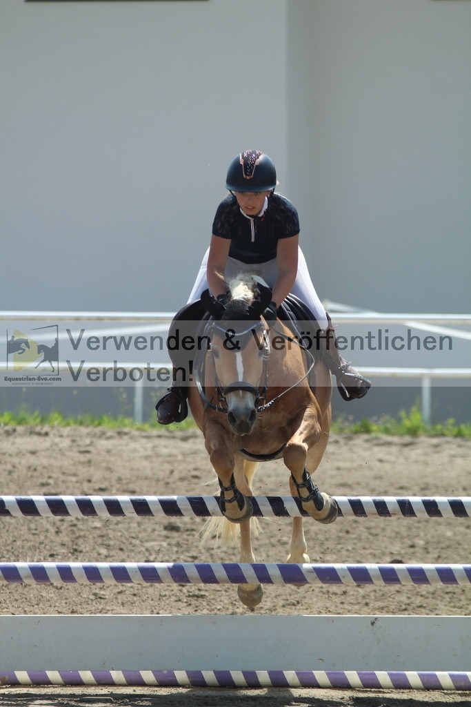 IMG_3559 | equestrian-live-com