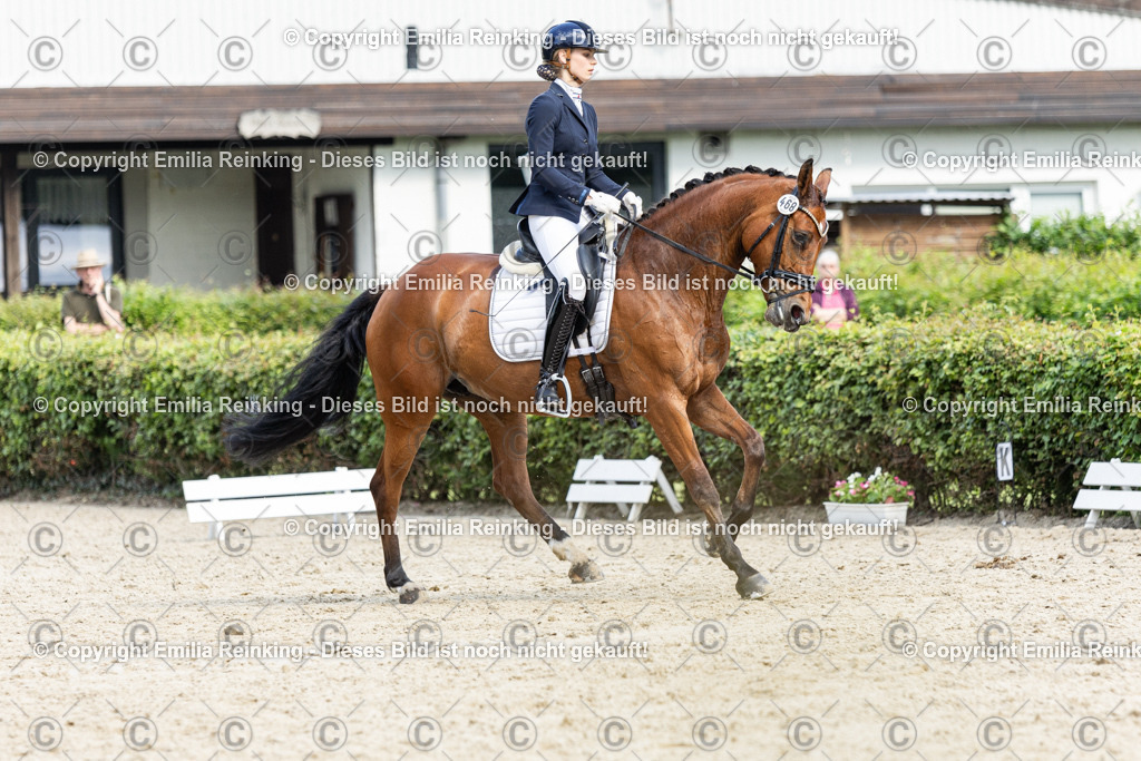 CL5A6310-2 | Emilia Reinking Fotografie - Realisiert mit Pictrs.com