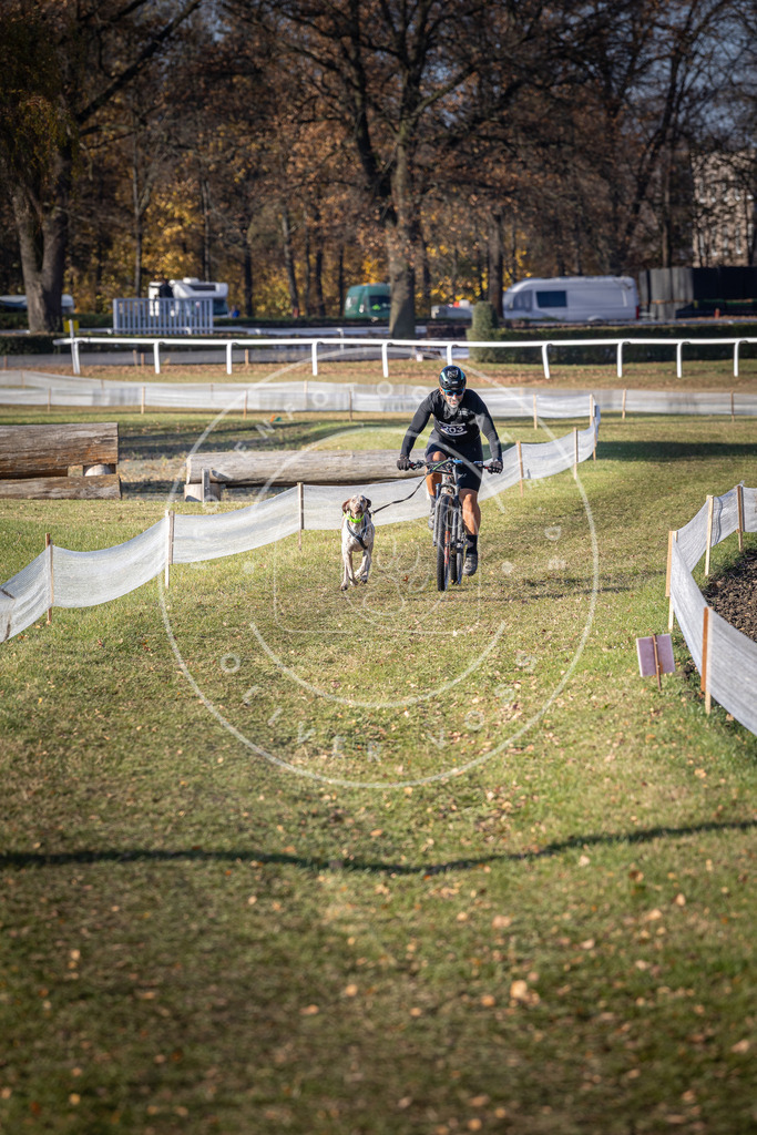 CaniXpix_DV3A2808 | Hundefotografie, Tierfotograf, Pfotenfotografie, Fotoshooting Hund, Hunde Portrait, Hundesport, Hundeportraits, Heideshooting, Hunde, Sportfotograf, Hundefotograf, Turnierhundsport, THS,  - Realisiert mit Pictrs.com