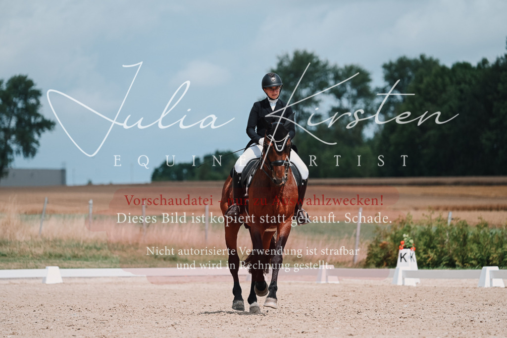 DSC_4377 | Pferde- und Turnierfotografie in Westsachsen. Pferdeportraits, Auftragszeichnungen und intuitive Kunst.
