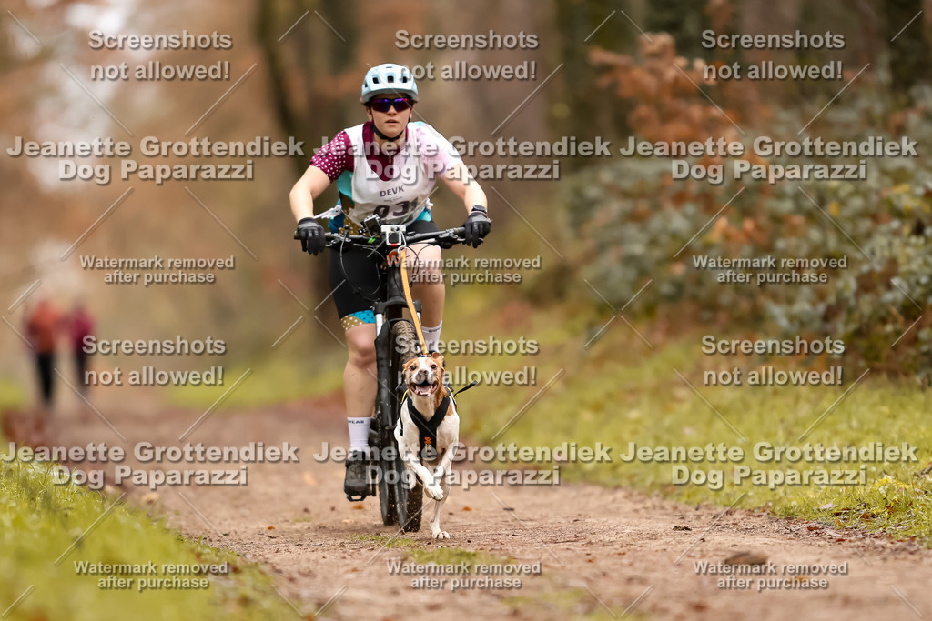 Dog Paparazzi - Speedhunter Mannheim  2025-6 | Dog Paparazzi Jeanette Grottendiek Fotografie & Videografie