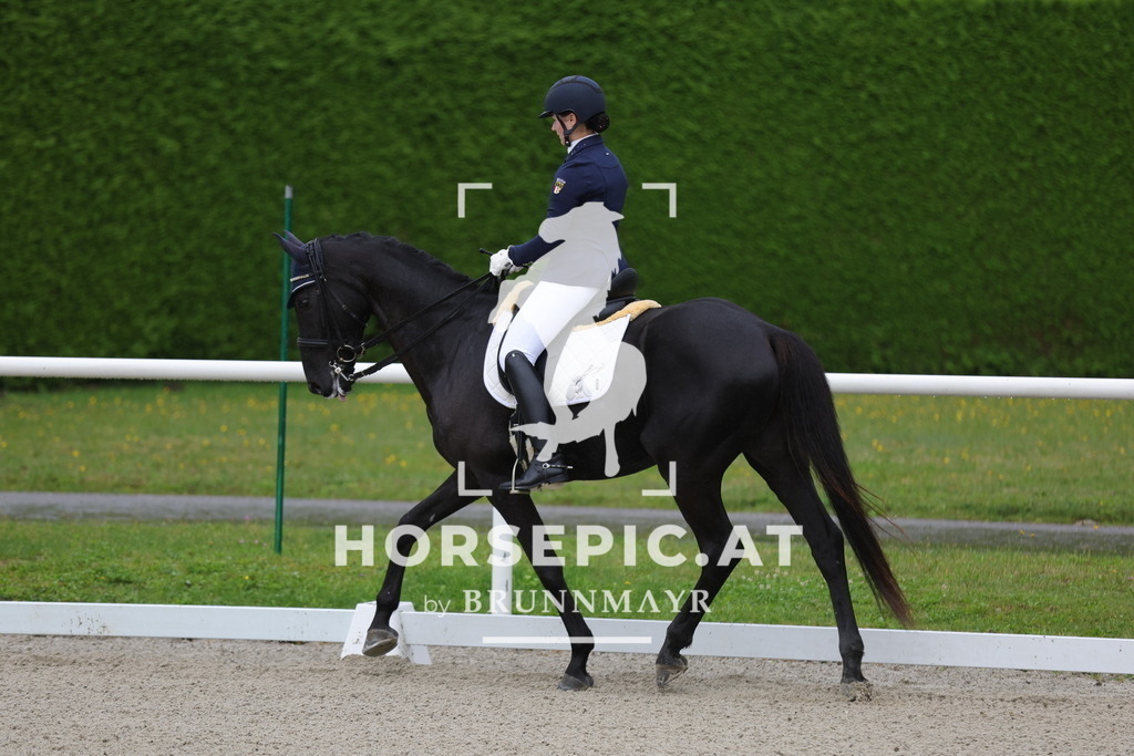 0P6A9530 | Willkommen bei Brunnmayr - Design & Fotografie – Ihrem Spezialisten für Reitturniere und Pferdeveranstaltungen in Oberösterreich, Salzburg und Bayern! Seit über 17 Jahren sind wir leidenschaftlich dabei.