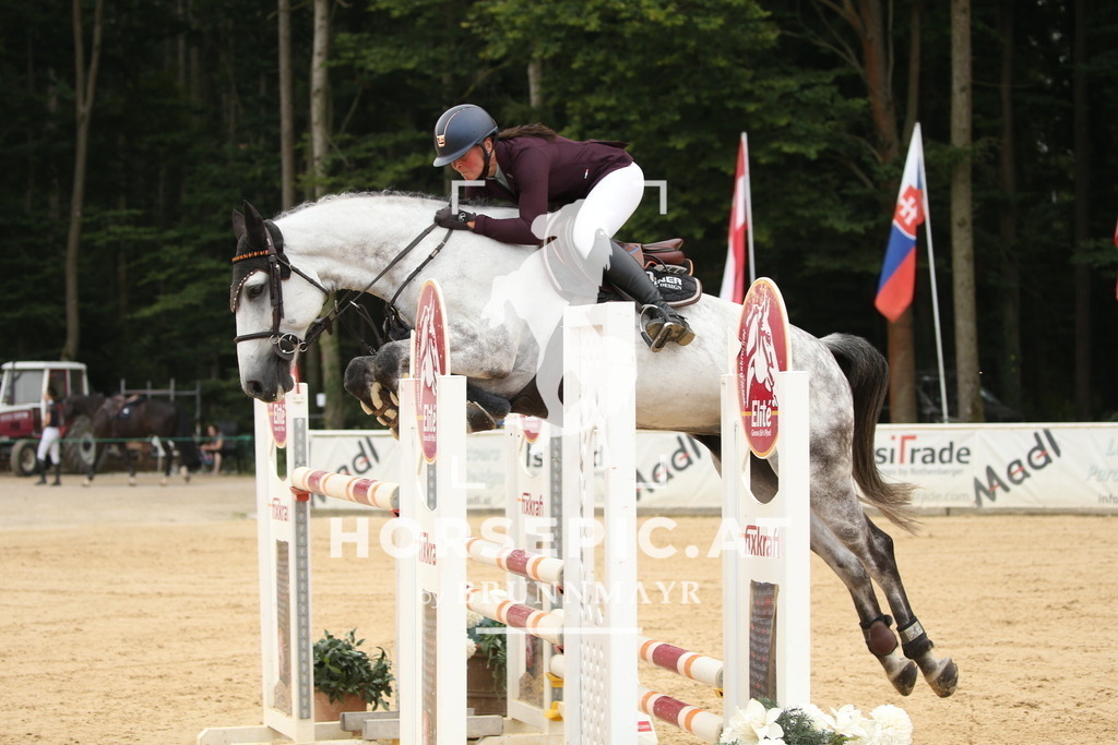 DL2Q7388 | Willkommen bei Brunnmayr - Design & Fotografie – Ihrem Spezialisten für Reitturniere und Pferdeveranstaltungen in Oberösterreich, Salzburg und Bayern! Seit über 17 Jahren sind wir leidenschaftlich dabei.