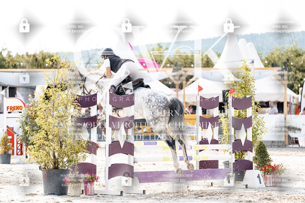 CK905998 | Turnierfotografie Pferdefotografie Trier Rheinland-Pfalz Pferdesport Reitsport Tierfotografie Sportfotografie Pferdevideo Pferdevideografie Equestrianvideography equestrianphotography  - Realisiert mit Pictrs.com