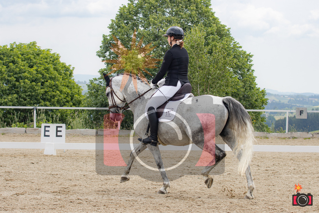 IMG_0645 | kraqueboom - Realisiert mit Pictrs.com