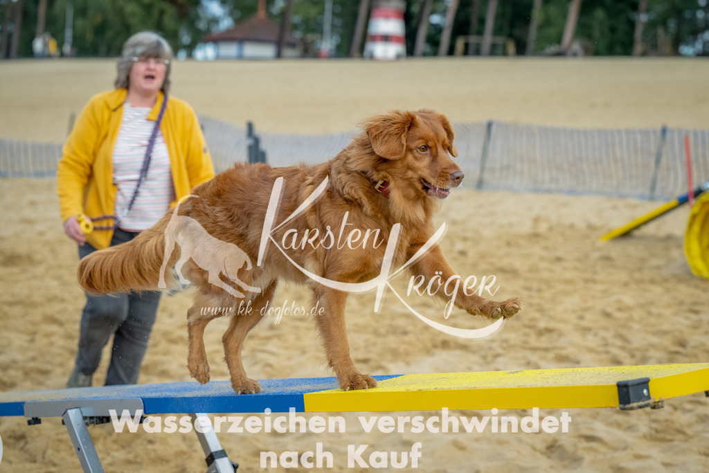0911_ZZ91997-Bearbeitet | kk-dogfotos