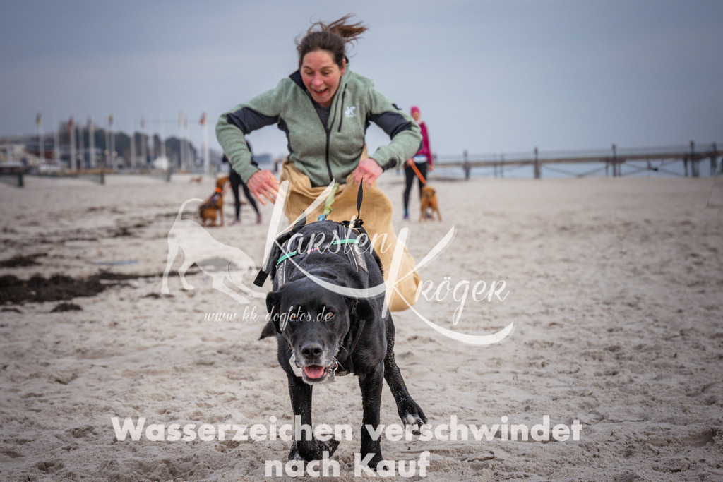 1300_ZZ97700 | kk-dogfotos