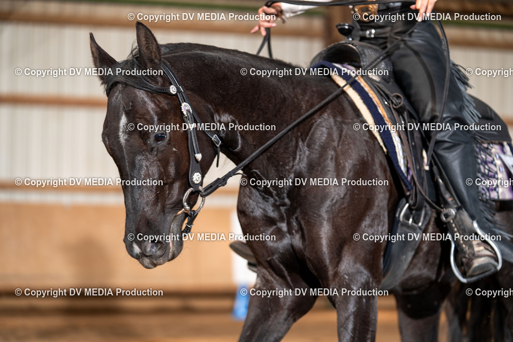 Balingen Tag 1-1945 | dv-media-shop - Realisiert mit Pictrs.com