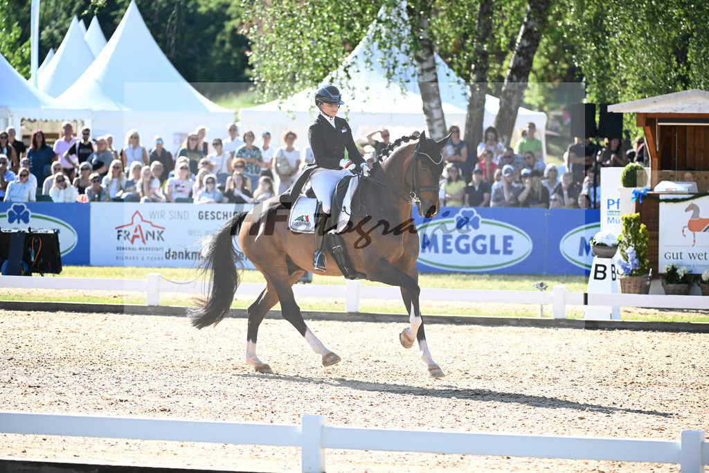 Schneider_Dayman_11253900 | hf-fotografie - Realisiert mit Pictrs.com