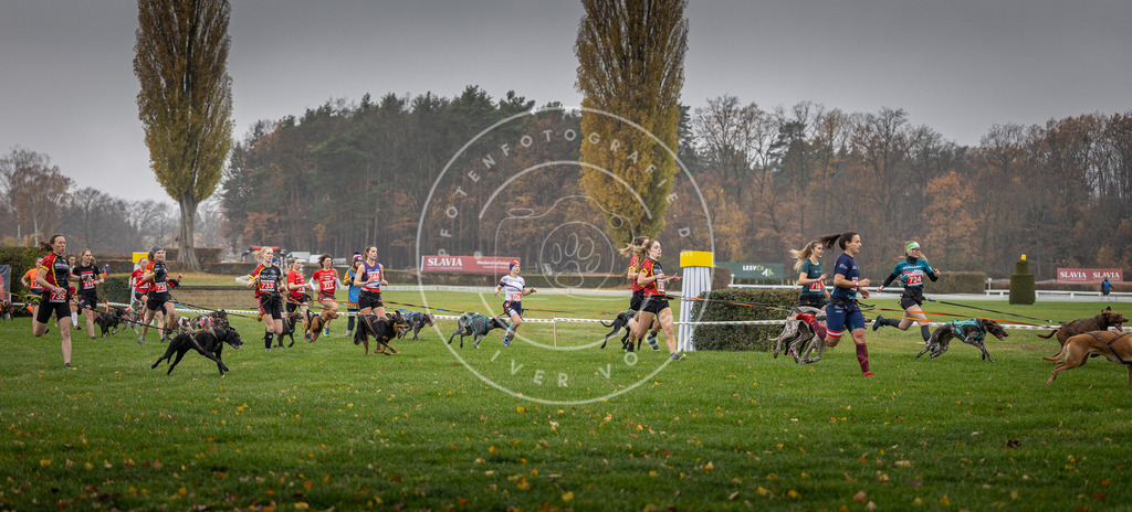 CaniXpix_DV3A8782 | Hundefotografie, Tierfotograf, Pfotenfotografie, Fotoshooting Hund, Hunde Portrait, Hundesport, Hundeportraits, Heideshooting, Hunde, Sportfotograf, Hundefotograf, Turnierhundsport, THS,  - Realisiert mit Pictrs.com