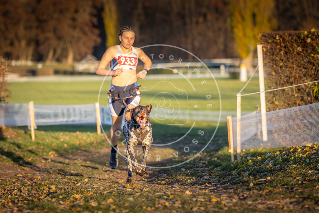 CaniXpix_DV3A5182 | Hundefotografie, Tierfotograf, Pfotenfotografie, Fotoshooting Hund, Hunde Portrait, Hundesport, Hundeportraits, Heideshooting, Hunde, Sportfotograf, Hundefotograf, Turnierhundsport, THS,  - Realisiert mit Pictrs.com