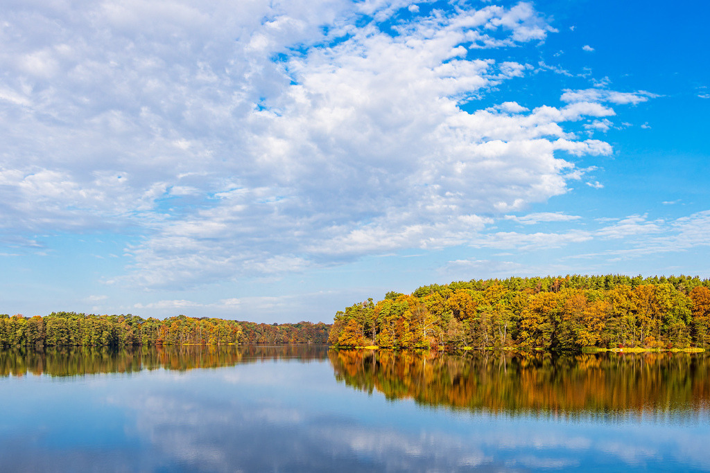 Blick über den See Schmaler Luzin auf die herbstliche Feldberger Seenlandschaft | Blick über den See Schmaler Luzin auf die herbstliche Feldberger Seenlandschaft.