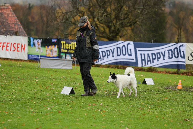 2025_Rally_Obedience_SM-93 | Ich fotografiere Hundeausstellungen, Sportanlässe, Zuchtstätten, Hundezucht, Hundeportrait, Lagotto - Realisiert mit Pictrs.com