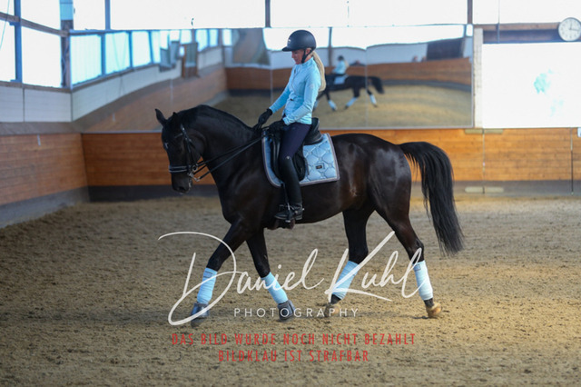 IMG_3231 | Turniersportfotografie; Pferdefotografie; Dressurfotografie