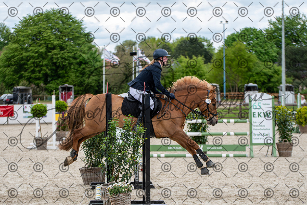 KPT_6398 | andre_photographic