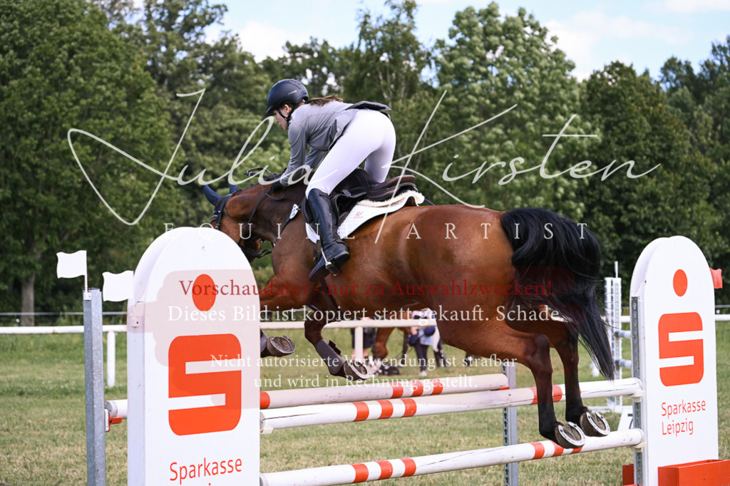 DSC_0577 | Pferde- und Turnierfotografie in Westsachsen. Pferdeportraits, Auftragszeichnungen und intuitive Kunst.