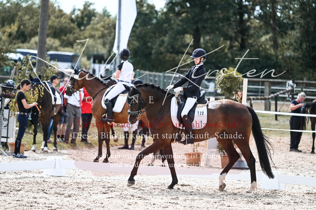 DSC_5180 | Pferde- und Turnierfotografie in Westsachsen. Pferdeportraits, Auftragszeichnungen und intuitive Kunst.