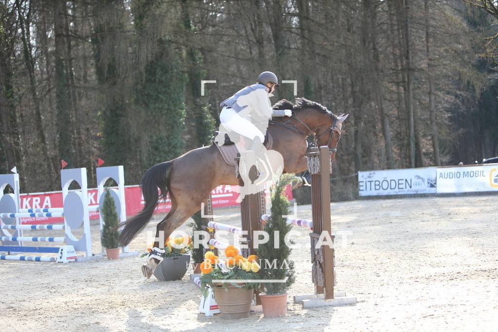 DL2Q4192 | Willkommen bei Brunnmayr - Design & Fotografie – Ihrem Spezialisten für Reitturniere und Pferdeveranstaltungen in Oberösterreich, Salzburg und Bayern! Seit über 17 Jahren sind wir leidenschaftlich dabei.