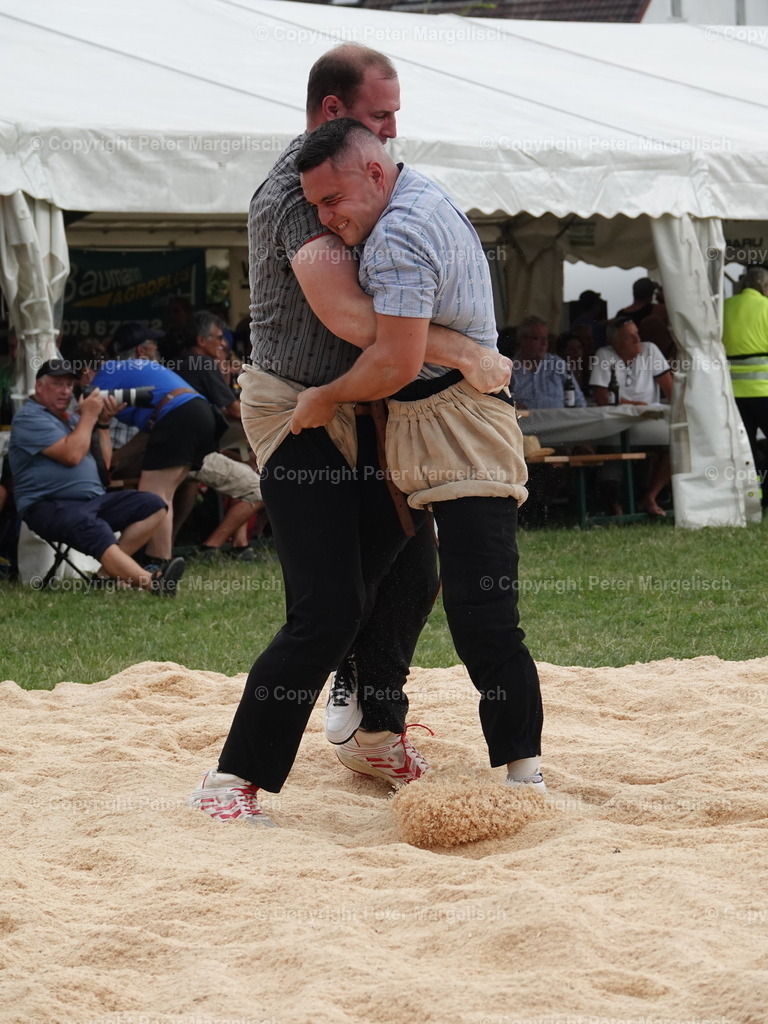 DSC05134 | Schwingen - Realisiert mit Pictrs.com