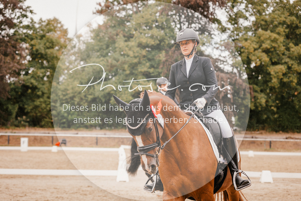 3I6A6449 | Stimmungsvolle Portraits und Reitsportfotografie im Ruhrgebiet und im Münsterland.

Pferdefotografie, Hundefotografie, Tierfotografie, Reportagen, Portraits von Tier und Mensch, Turnierfotografie in Bochum, Recklinghausen, Marl, Haltern am See, Dülmen.. - Realisiert mit Pictrs.com