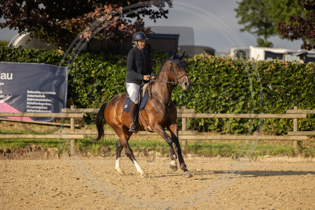 994A6984 | sabrinanicolaifotografie - Realisiert mit Pictrs.com