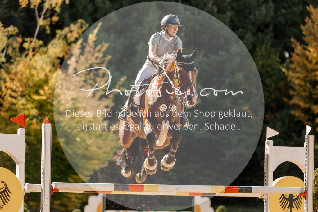 3I6A4656 | Stimmungsvolle Portraits und Reitsportfotografie im Ruhrgebiet und im Münsterland.

Pferdefotografie, Hundefotografie, Tierfotografie, Reportagen, Portraits von Tier und Mensch, Turnierfotografie in Bochum, Recklinghausen, Marl, Haltern am See, Dülmen.. - Realisiert mit Pictrs.com