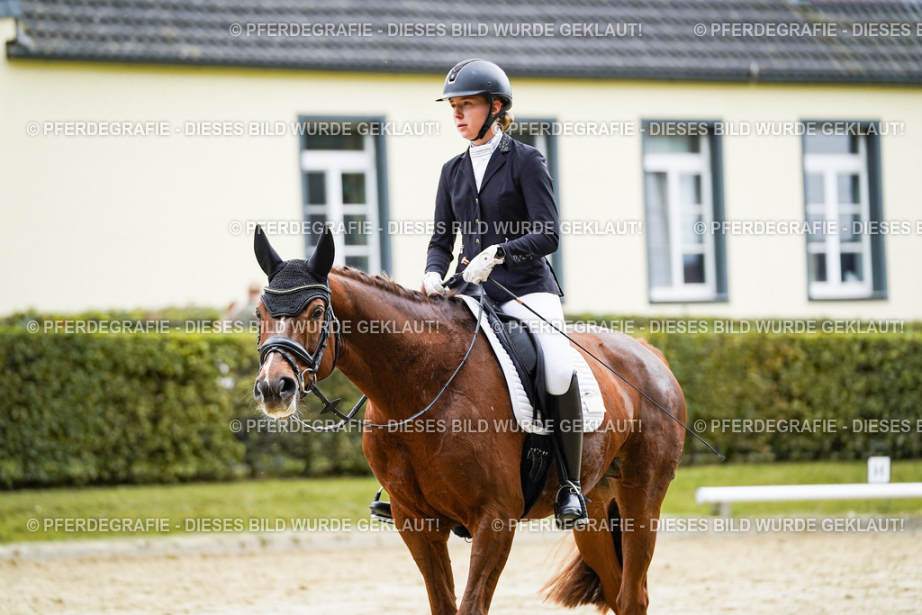 DSC07449 | Pferdegrafie