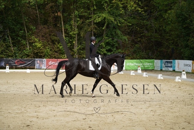 VAN01245 | Marie Giesen Fotografie - Realisiert mit Pictrs.com