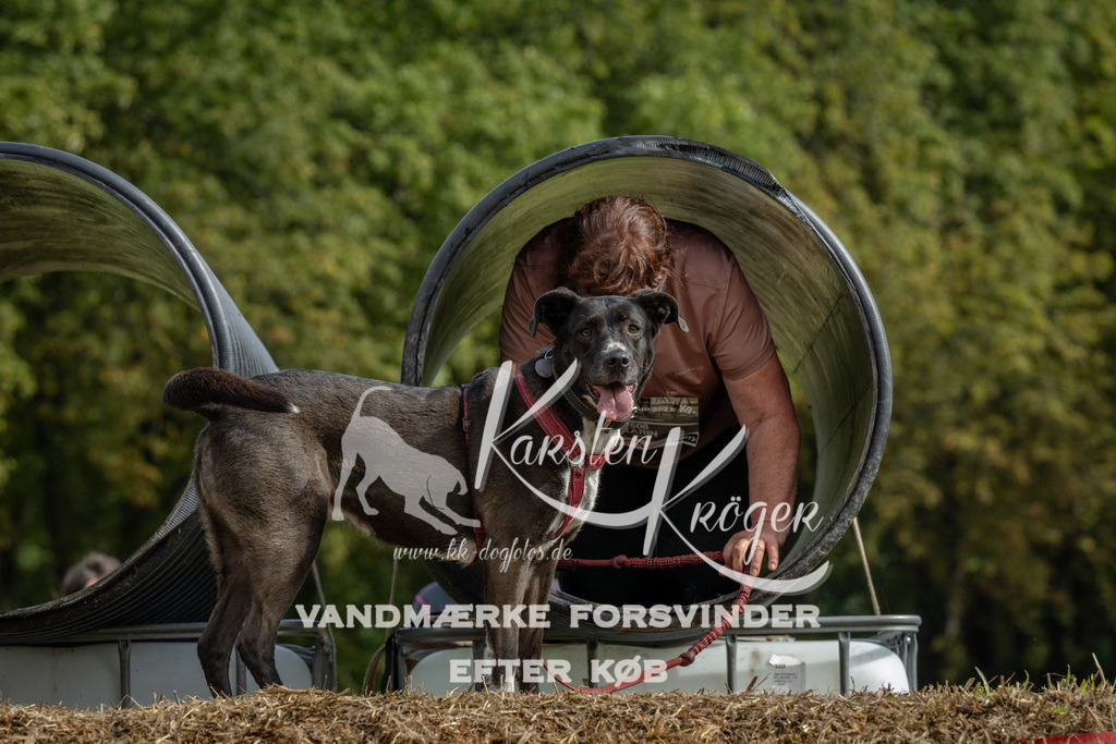 1141_ZZ90089 | kk-dogfotos