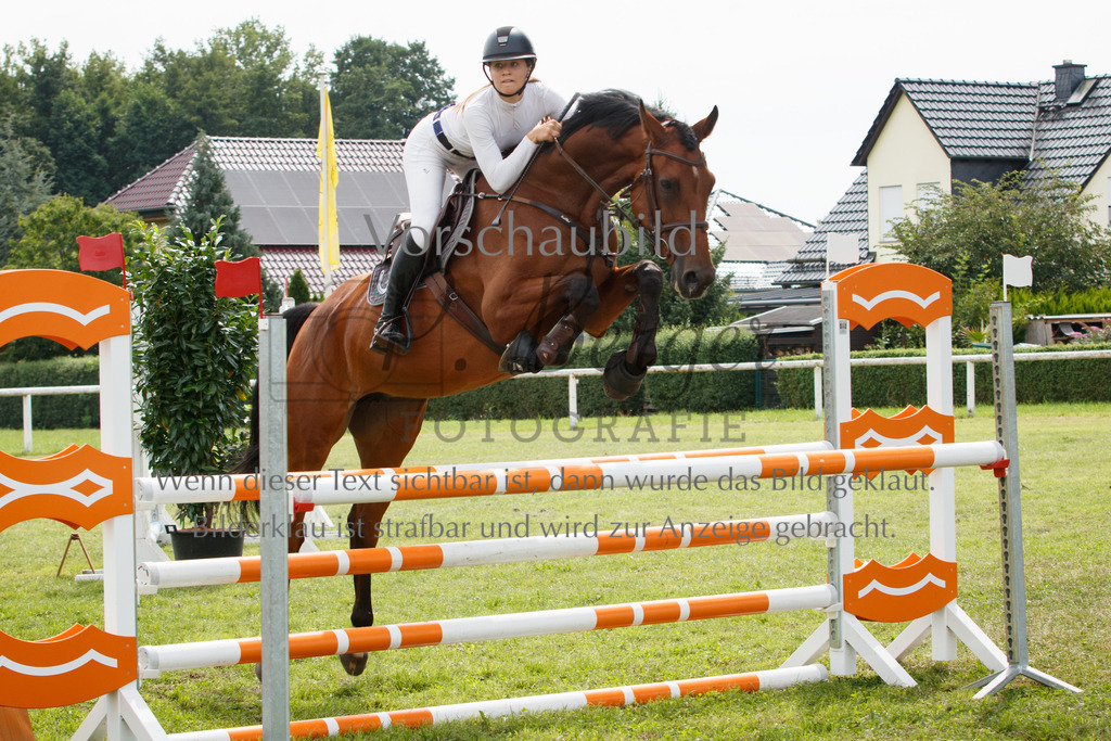 IMG_3185 | P. Berger Fotografie - Realisiert mit Pictrs.com